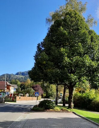 Ausgangspunkt Parkplatz Kleinlobming | WEGES OG | © WEGES OG