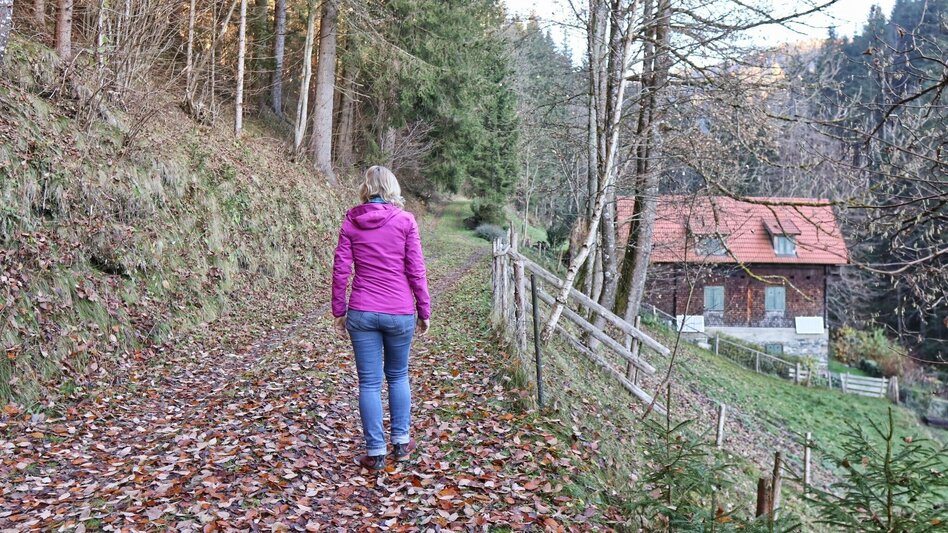 Wanderung Tobiasalm Kleinlobming - Touren-Impression #2.4 | © WEGES OG