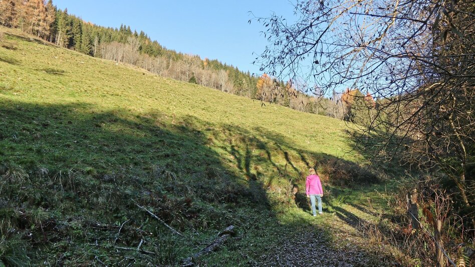 Wanderung Tobiasalm Kleinlobming - Touren-Impression #2.5 | © WEGES OG