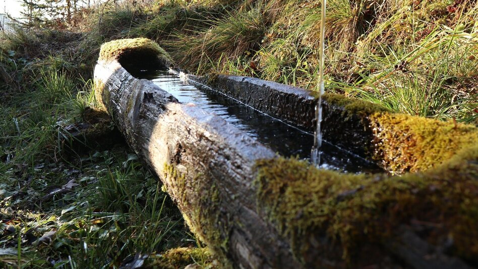 Wanderung Tobiasalm Kleinlobming - Touren-Impression #2.6 | © WEGES OG