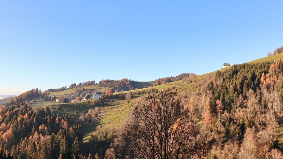 Wanderung Tobiasalm Kleinlobming - Touren-Impression #2.8 | © WEGES OG
