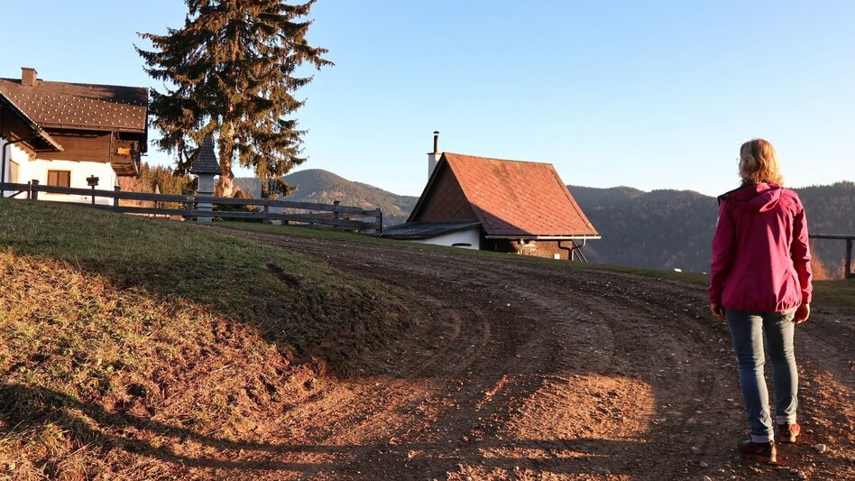 Wanderung Tobiasalm Kleinlobming - Touren-Impression #2.10 | © WEGES OG