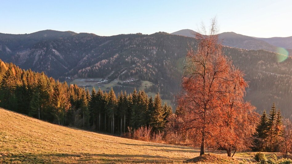 Wanderung Tobiasalm Kleinlobming - Touren-Impression #2.11 | © WEGES OG