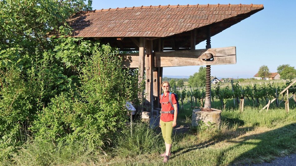 Wanderung Traminerweg Klöch - Touren-Impression #2.2 | © Thermen- & Vulkanland