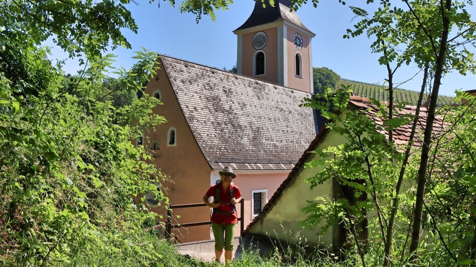 Wanderung Traminerweg Klöch - Touren-Impression #2.7 | © Thermen- & Vulkanland
