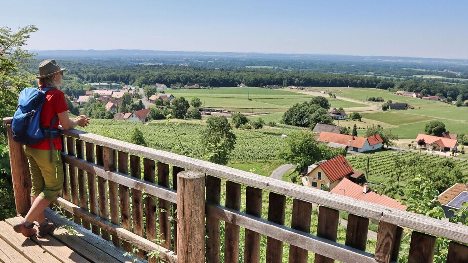 Wanderung Traminerweg Klöch - Touren-Impression #2.11 | © Thermen- & Vulkanland