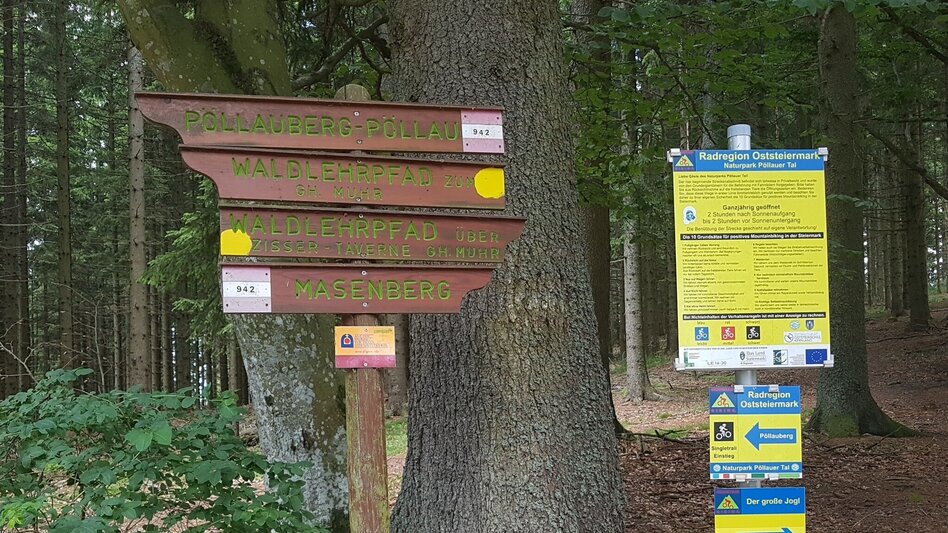 Theme path Masenberg forest nature trail, Pöllauberg - short version - Touren-Impression #2.3 | © Oststeiermark Tourismus