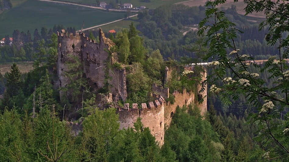 Wanderung Von der geschichtsträchtigen Ruine Reifenstein  zur Sauerbrunnquelle bei Schloss Thalheim - Touren-Impression #2.1 | © Markus Beren