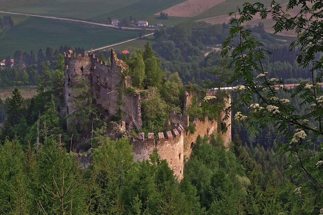 Wanderung Von der geschichtsträchtigen Ruine Reifenstein  zur Sauerbrunnquelle bei Schloss Thalheim - Touren-Impression #1 | © Markus Beren