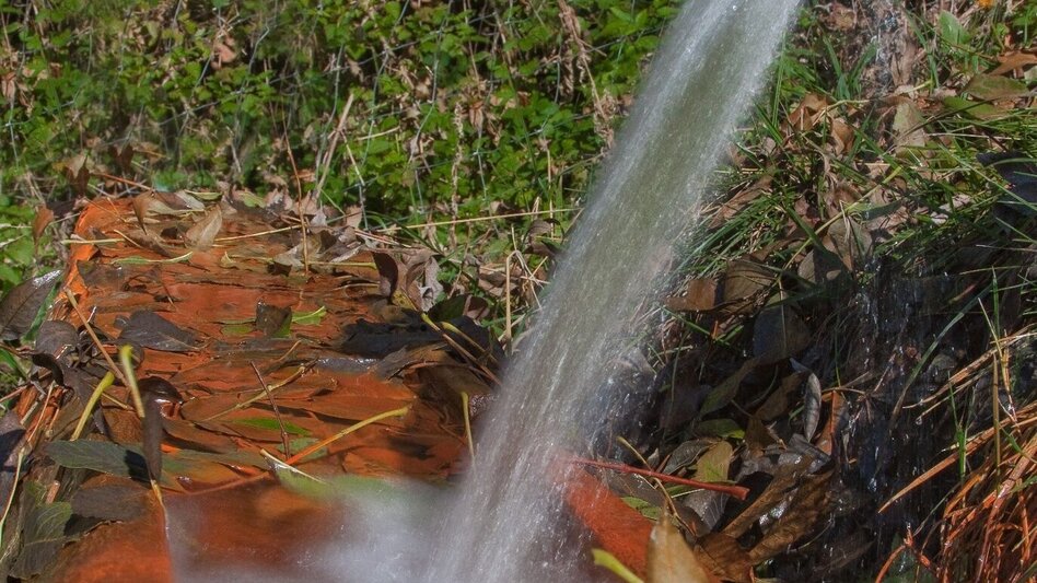 Wanderung Von der geschichtsträchtigen Ruine Reifenstein  zur Sauerbrunnquelle bei Schloss Thalheim - Touren-Impression #2.2 | © Markus Beren