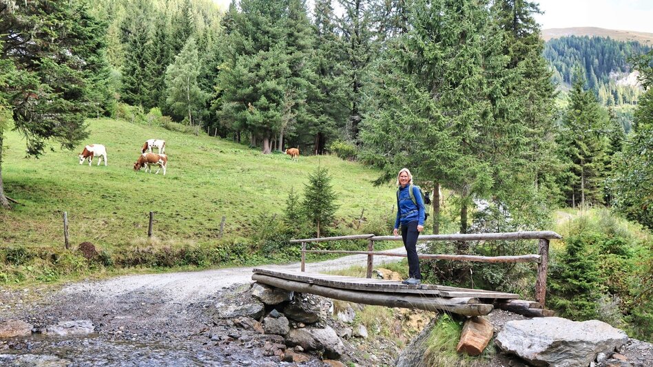 Hiking route 3 summits at the golden graves onto the Wildalm - Touren-Impression #2.2 | © Weges OG