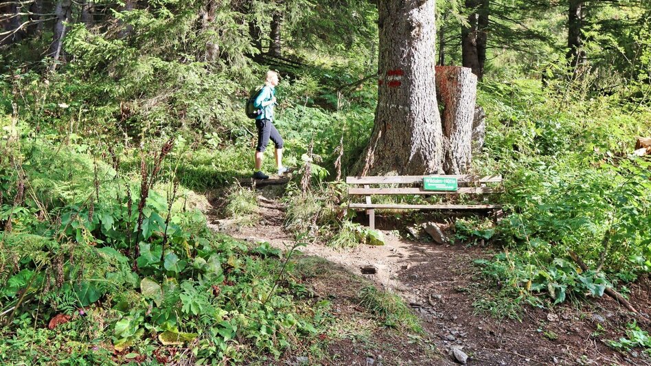 Hiking route 3 summits at the golden graves onto the Wildalm - Touren-Impression #2.5 | © Weges OG