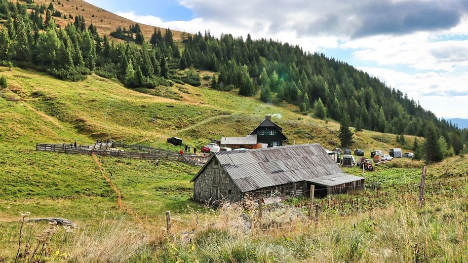 Hiking route 3 summits at the golden graves onto the Wildalm - Touren-Impression #2.1 | © Weges OG
