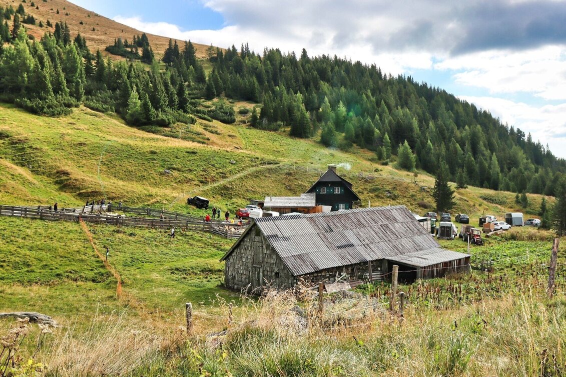 Hiking route 3 summits at the golden graves onto the Wildalm - Touren-Impression #1 | © Weges OG