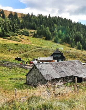 Almabtrieb bei der Wildalm | Weges OG | © Weges OG