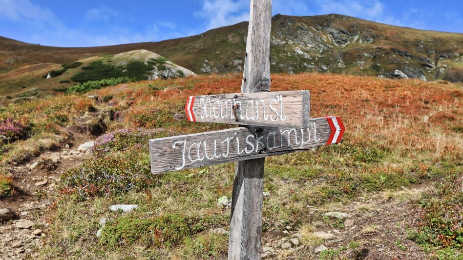 Hiking route 3 summits at the golden graves onto the Wildalm - Touren-Impression #2.7 | © Weges OG