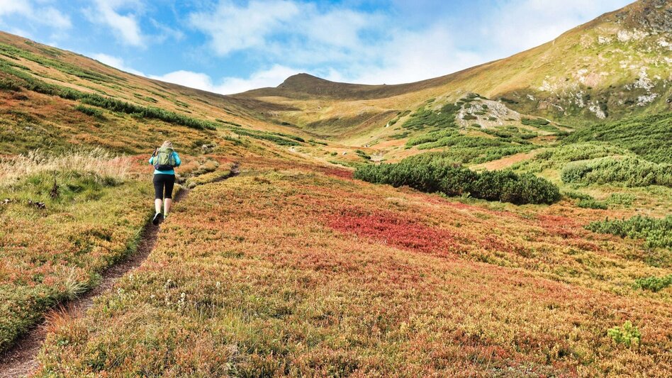 Hiking route 3 summits at the golden graves onto the Wildalm - Touren-Impression #2.8 | © Weges OG