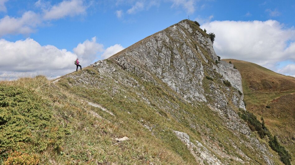 Hiking route 3 summits at the golden graves onto the Wildalm - Touren-Impression #2.10 | © Weges OG
