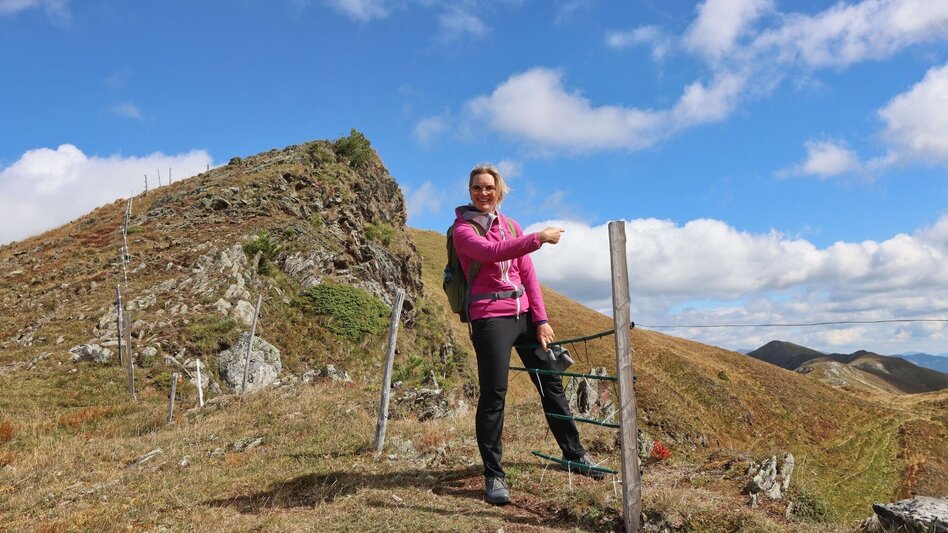 Hiking route 3 summits at the golden graves onto the Wildalm - Touren-Impression #2.12 | © Weges OG