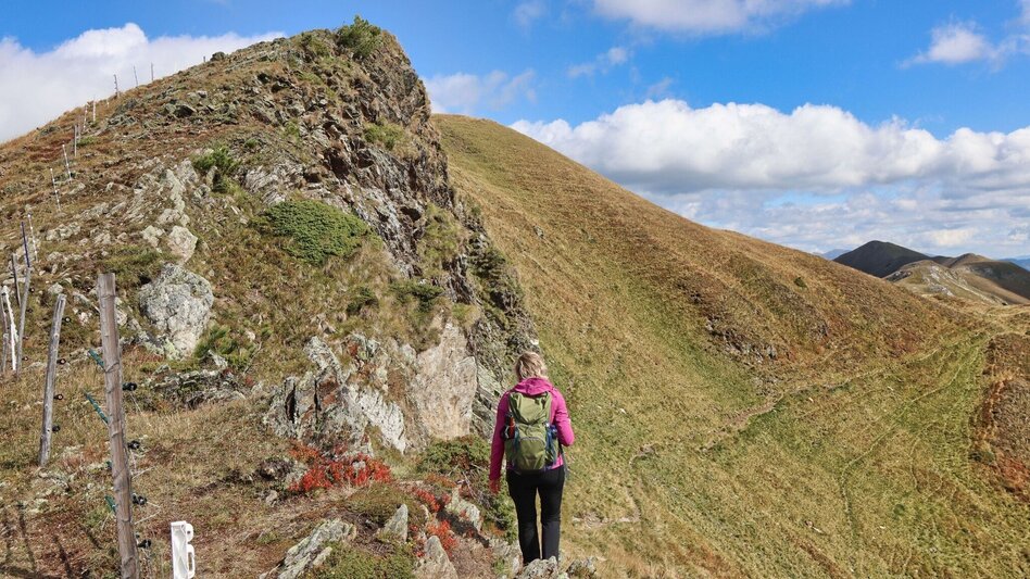 Hiking route 3 summits at the golden graves onto the Wildalm - Touren-Impression #2.13 | © Weges OG