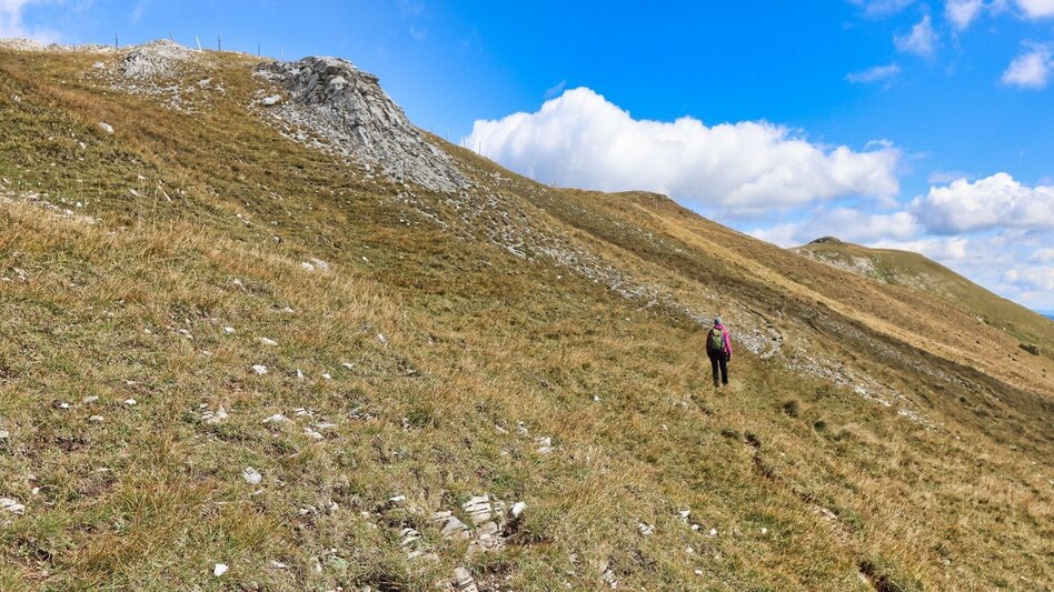 Hiking route 3 summits at the golden graves onto the Wildalm - Touren-Impression #2.14 | © Weges OG