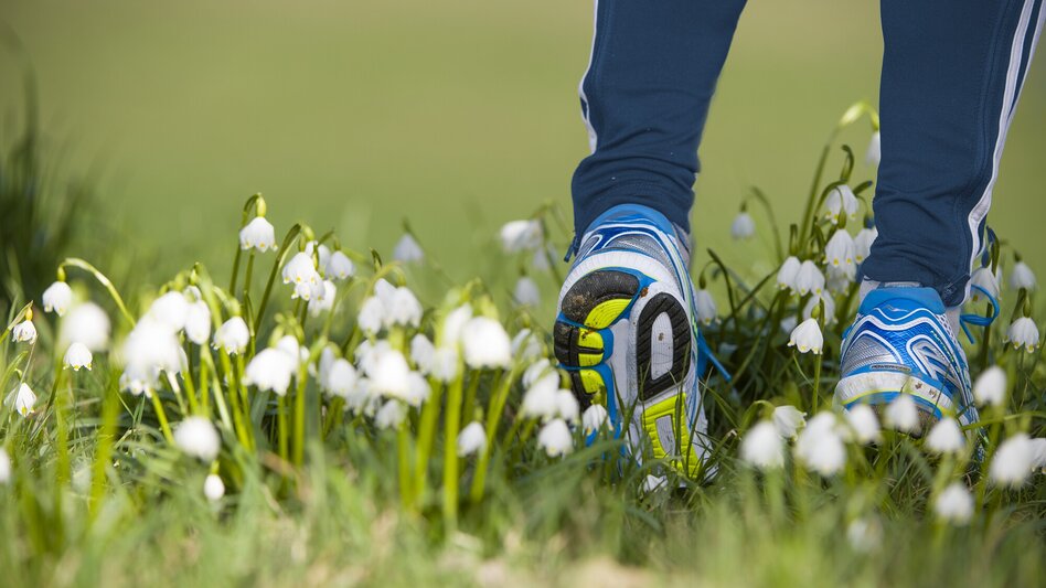 Jogging Parktherme Wüstenlauf - Touren-Impression #2.2 | © Thermen- & Vulkanland