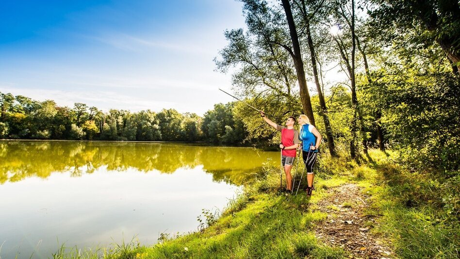 Hiking route Path of water (Wasserweg) - Touren-Impression #2.1 | © Thermen- & Vulkanland