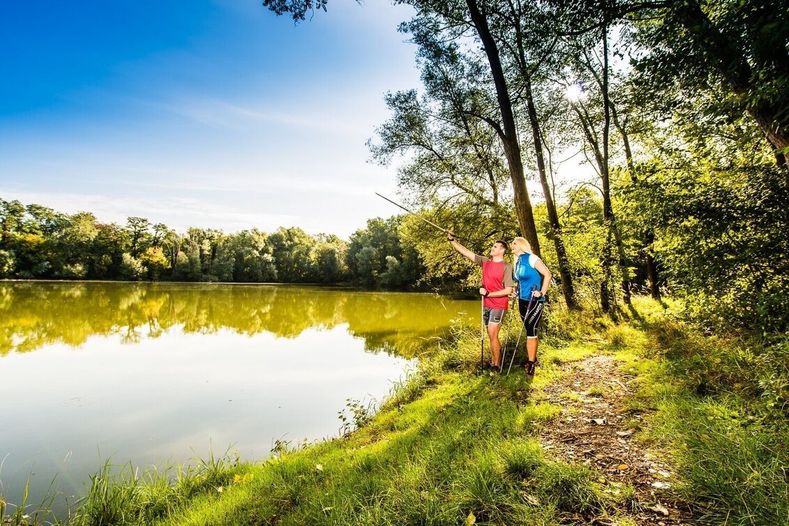 Hiking route Path of water (Wasserweg) - Touren-Impression #1 | © Thermen- & Vulkanland