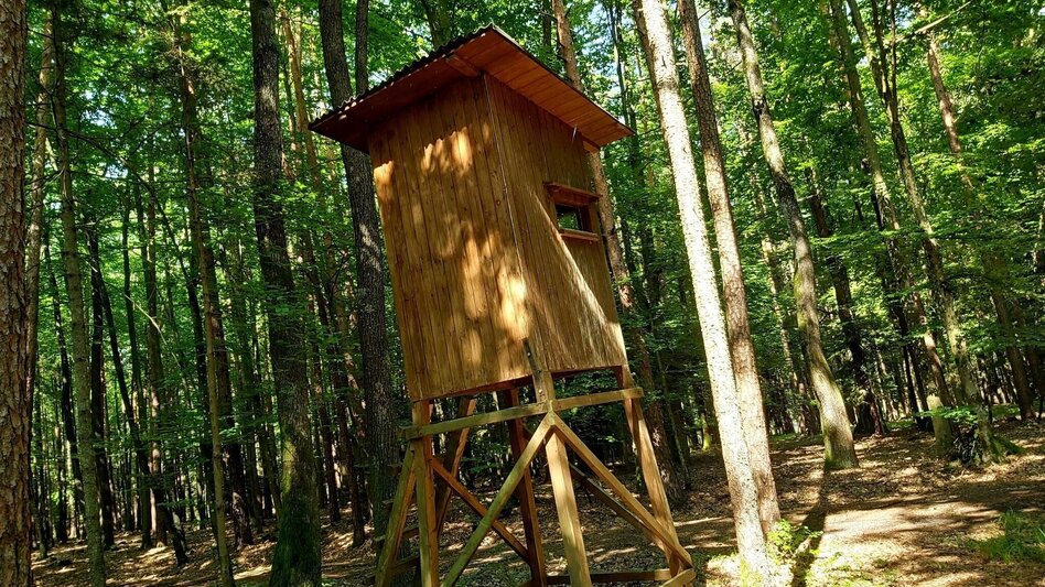 Wanderung Kalorienweg, St. Johann in der Haide - Touren-Impression #2.7 | © Oststeiermark Tourismus