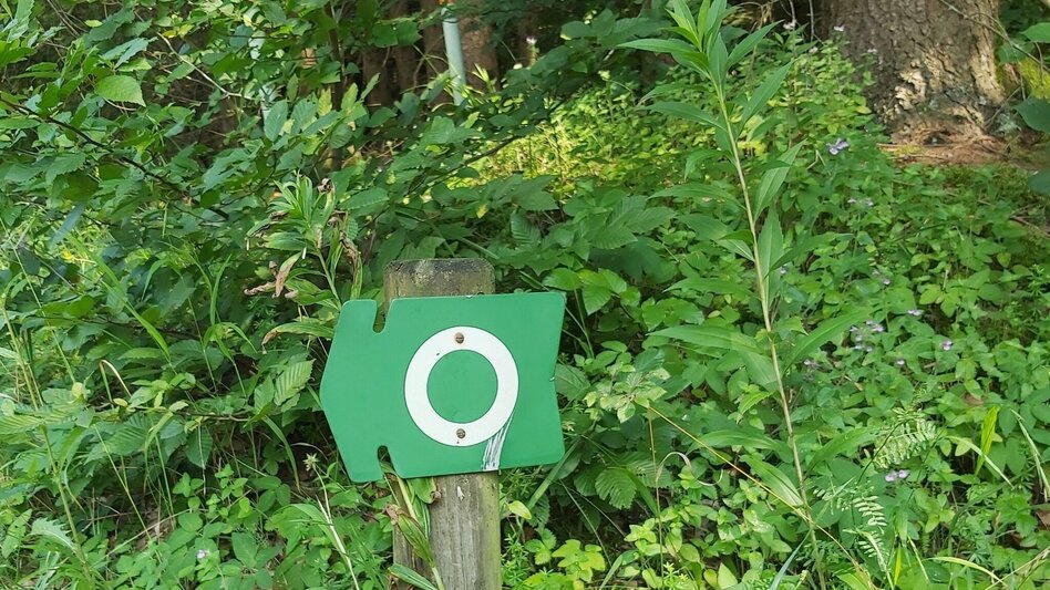 Wanderung Kalorienweg, St. Johann in der Haide - Touren-Impression #2.13 | © Oststeiermark Tourismus