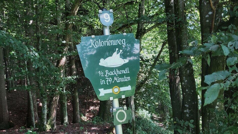 Wanderung Kalorienweg, St. Johann in der Haide - Touren-Impression #2.8 | © Oststeiermark Tourismus