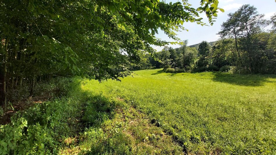 Wanderung Kalorienweg, St. Johann in der Haide - Touren-Impression #2.10 | © Oststeiermark Tourismus