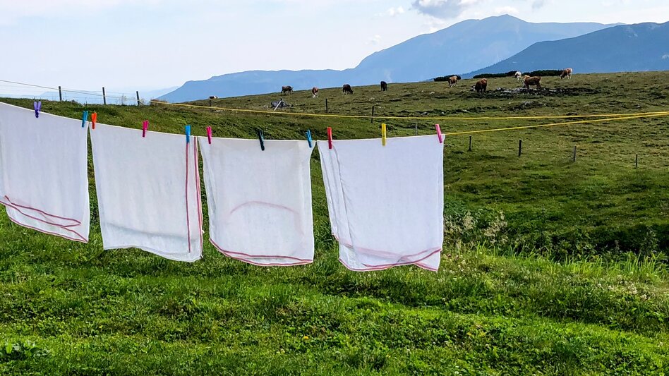 Wanderung Etappe 19 Vom Gletscher zum Wein Nordroute Schneealm - Rax Karl Ludwig Haus - Touren-Impression #2.6 | © (c) Steiermark Tourismus/Manfred Polansky
