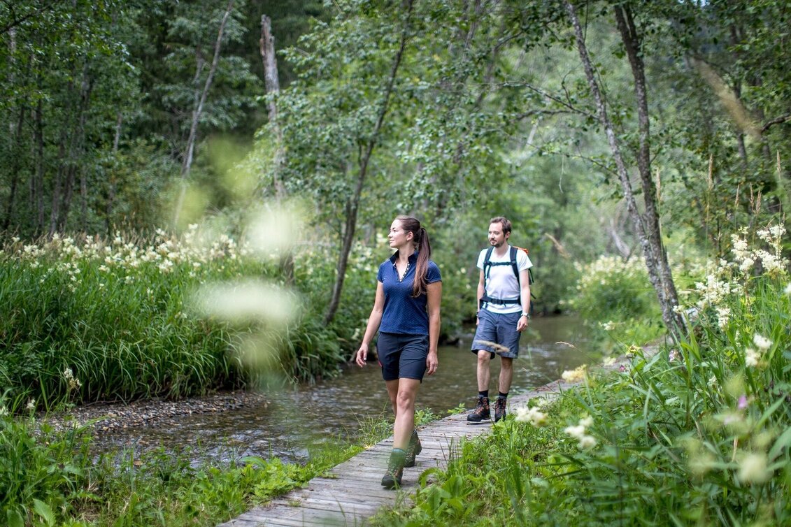 Theme path Hörfeldmoor circular trail - Touren-Impression #1 | © Tourismusverband Murau