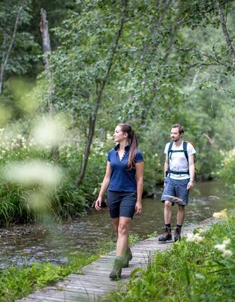 Hörfeld Moor | Tom Lamm | © Tourismusverband Murau
