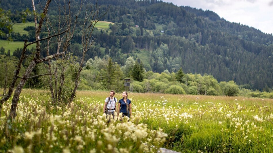 Theme path Hörfeldmoor circular trail - Touren-Impression #2.2 | © Tourismusverband Murau