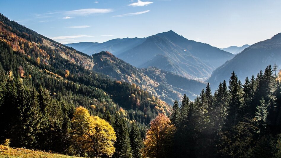Mountain Hike Via the Moaralm to the Naturfreundehütte - Touren-Impression #2.4 | © TV Gesäuse