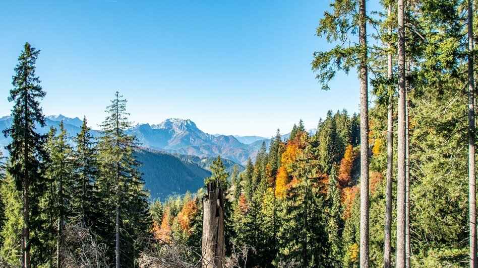 Mountain Hike Via the Moaralm to the Naturfreundehütte - Touren-Impression #2.6 | © TV Gesäuse
