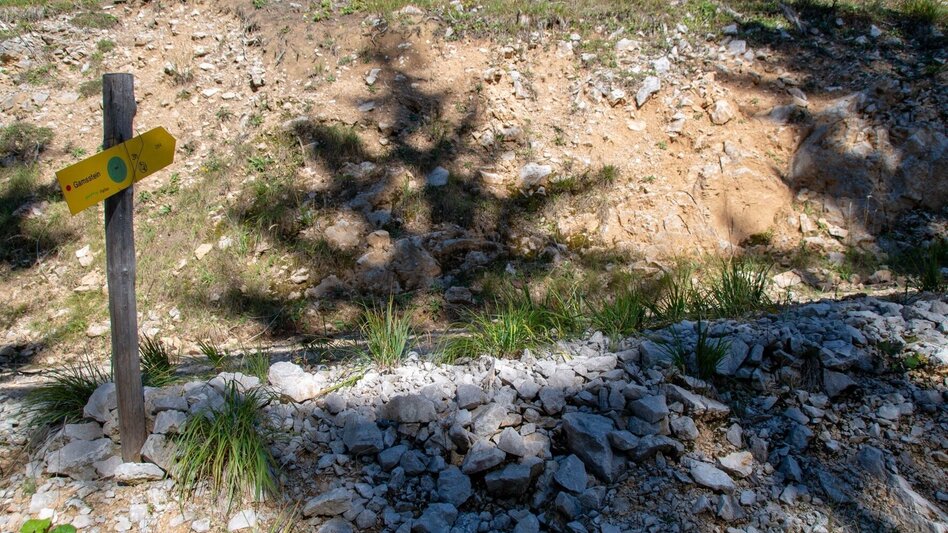 Mountain Hike Via the Moaralm to the Naturfreundehütte - Touren-Impression #2.7 | © TV Gesäuse