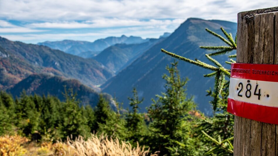 Mountain Hike Via the Moaralm to the Naturfreundehütte - Touren-Impression #2.8 | © TV Gesäuse