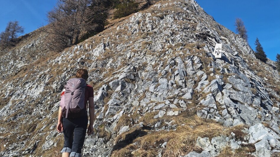 Wanderung Triebenstein von der Passhöhe - Touren-Impression #2.2 | © Weges OG
