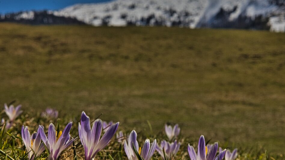 Wanderung Triebenstein von der Passhöhe - Touren-Impression #2.5 | © Weges OG