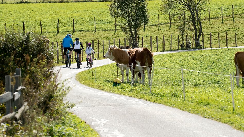 Bike Riding Stage 01 Mur Cycle Path Sticklerhütte - St. Michael im Lungau - Touren-Impression #2.2 | © (c) Ferienregion Lungau/G.A. Service GmbH