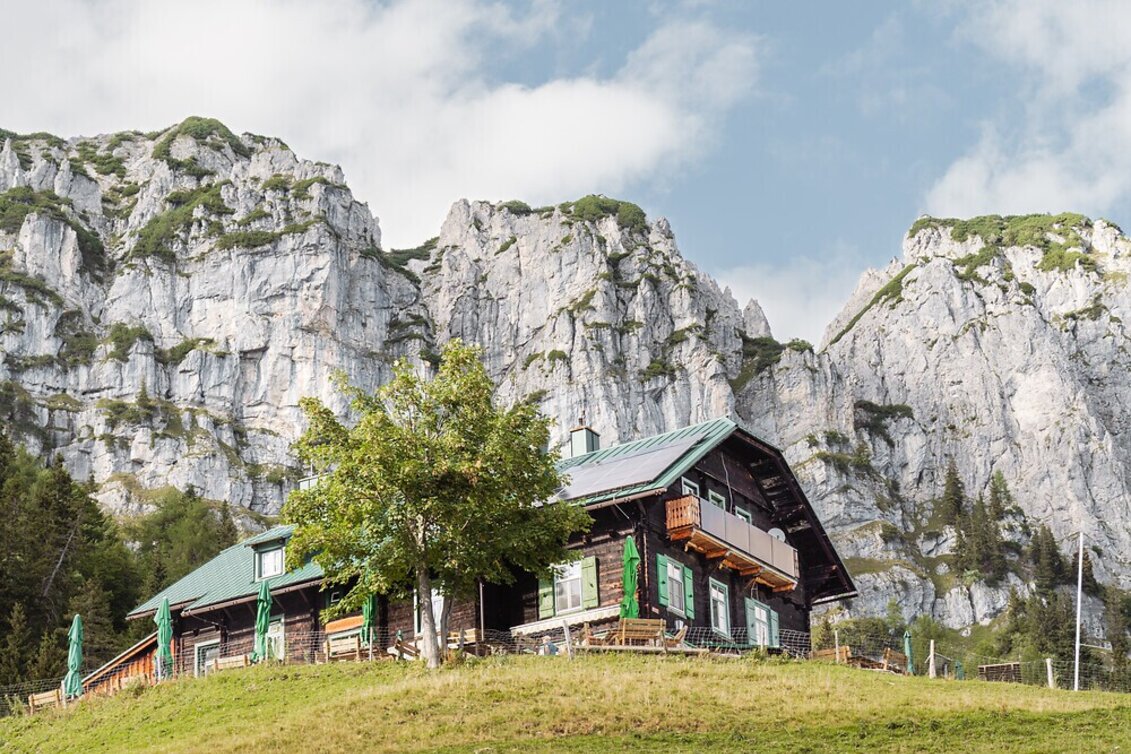 Hiking route Almlehrpfad Grabnerstein - Touren-Impression #1
