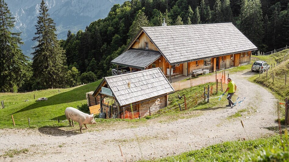 Hiking route Almlehrpfad Grabnerstein - Touren-Impression #2.10
