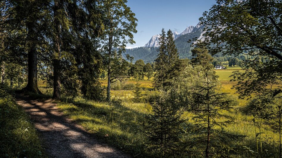 Hiking route Kulmberg Loop Trail - Touren-Impression #2.1 | © Erlebnisregion Schladming-Dachstein