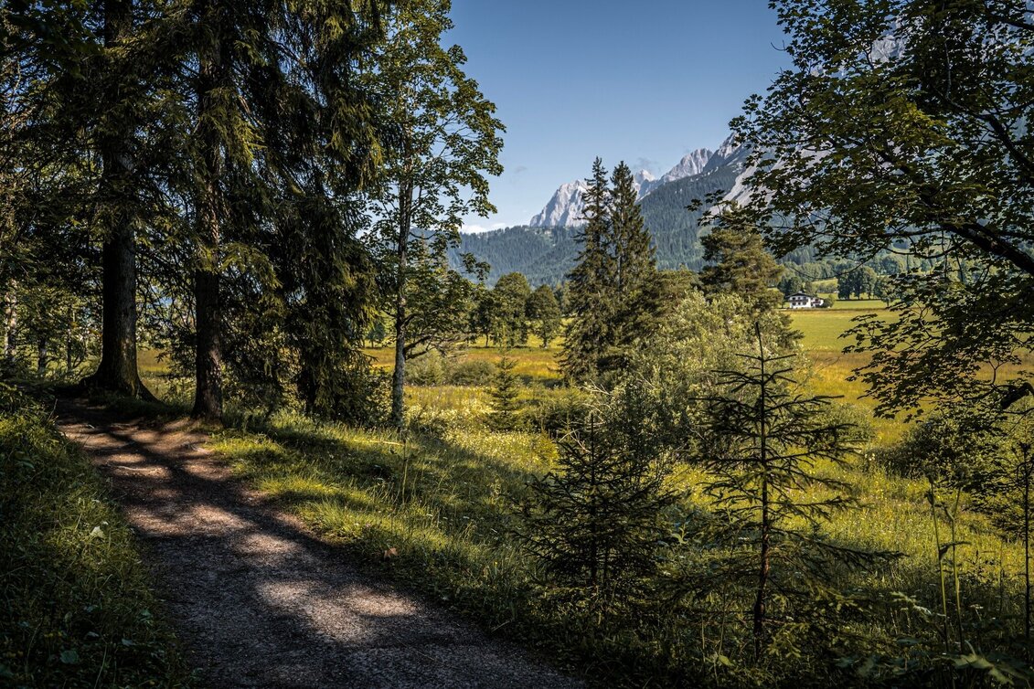 Hiking route Kulmberg Loop Trail - Touren-Impression #1 | © Erlebnisregion Schladming-Dachstein