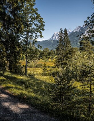 Am Philosophenweg Richtung Ramsau-Ort | Gerhard Pilz | © Erlebnisregion Schladming-Dachstein