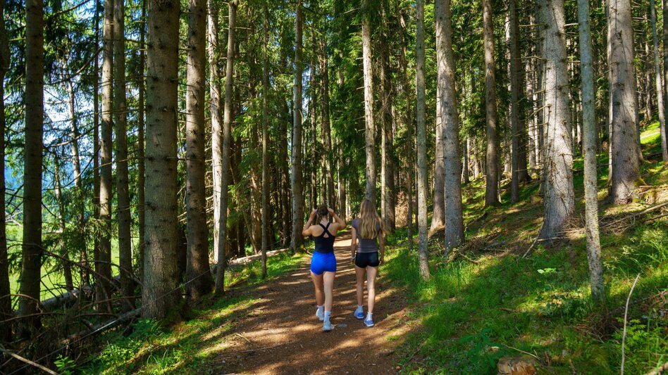 Hiking route Kulmberg Loop Trail - Touren-Impression #2.5 | © Christine Höflehner