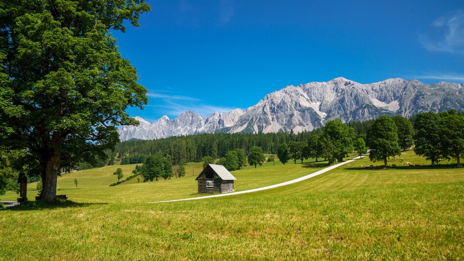 Hiking route Kulmberg Loop Trail - Touren-Impression #2.6 | © Christine Höflehner